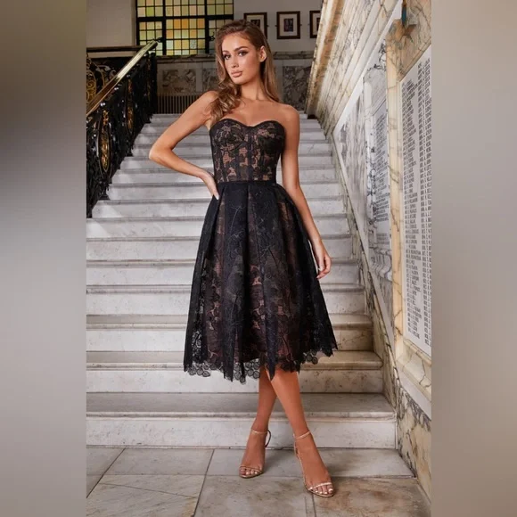 NWOT Nadine Merabi black/nude Olivia dress corseted embroidered lace - Picture 2 of 13